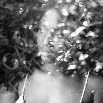 Mes éclats de lumières