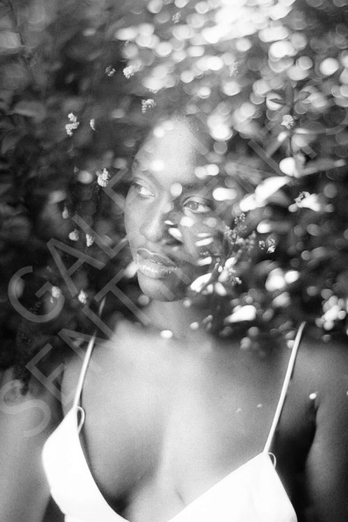 Mes éclats de lumières