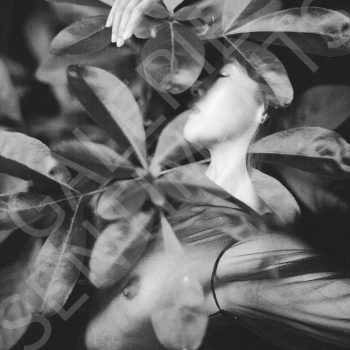 Les pleurs du printemps