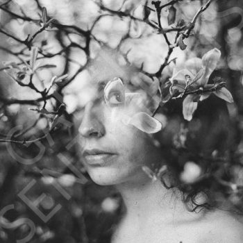 Your thoughts like petals