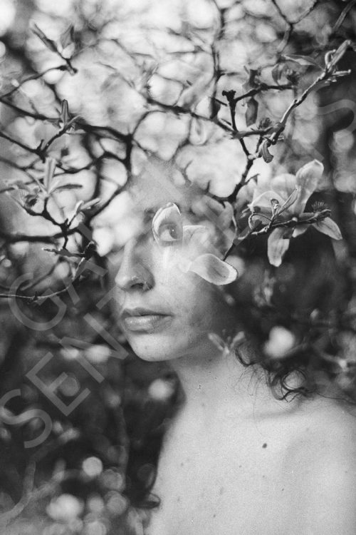 Your thoughts like petals